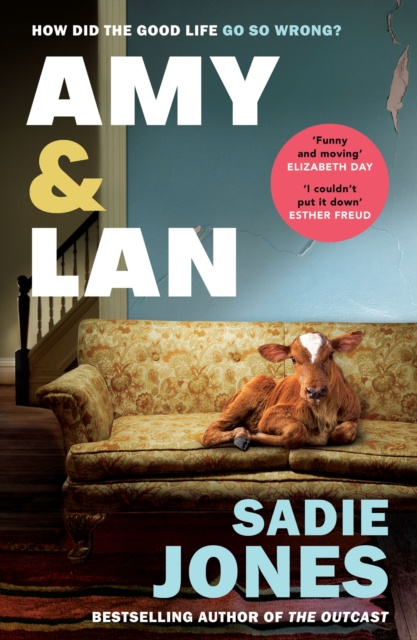 E-book Amy and Lan Sadie Jones