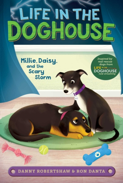 E-kniha Millie, Daisy, and the Scary Storm Danny Robertshaw