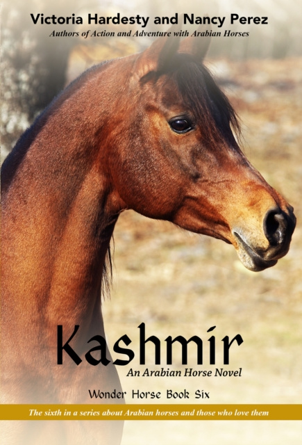 E-book Kashmir Victoria Hardesty and Nancy Perez