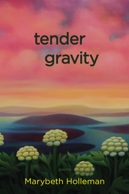 E-book tender gravity Marybeth Holleman