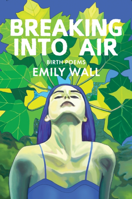 E-kniha Breaking into Air Emily Wall