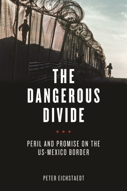 E-book Dangerous Divide Peter Eichstaedt
