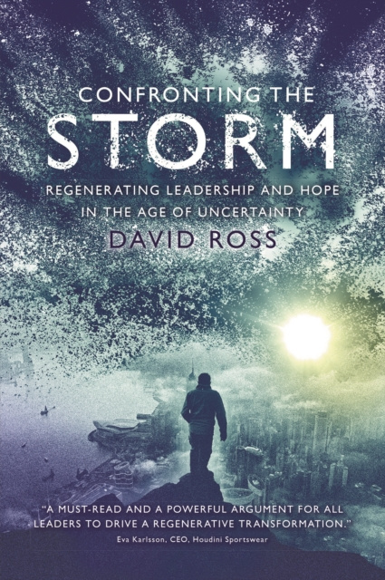 E-knjiga Confronting the Storm David Frost