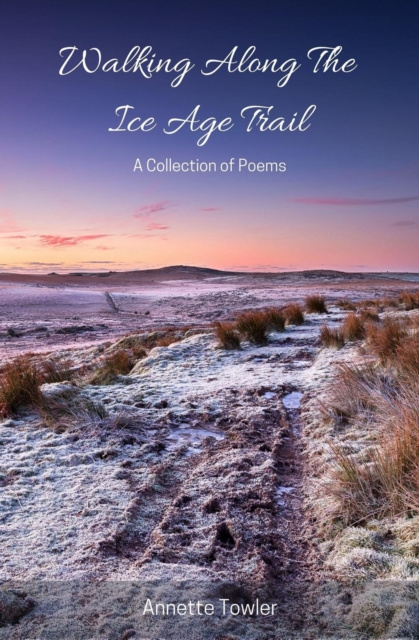 E-book Walking Along The Ice Age Trail Annette Towler