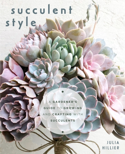 E-knjiga Succulent Style Julia Hillier