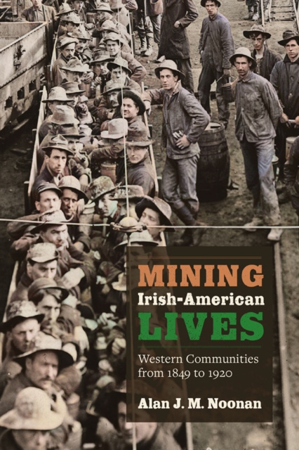 E-book Mining Irish-American Lives Noonan Alan J. M. Noonan