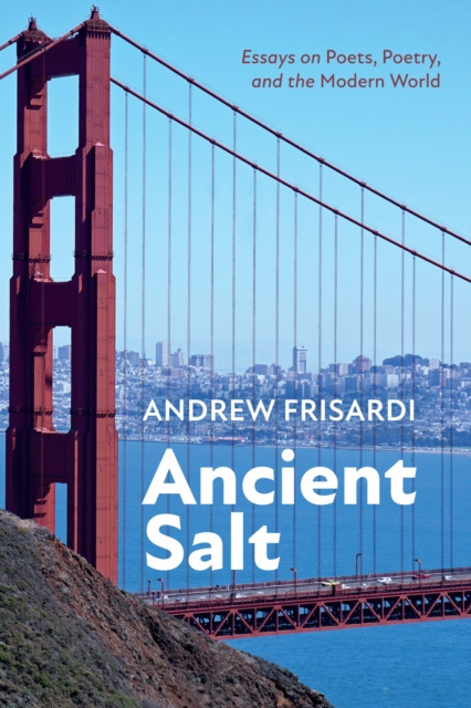 E-book Ancient Salt Andrew Frisardi