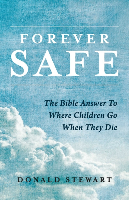E-book Forever Safe Donald Stewart