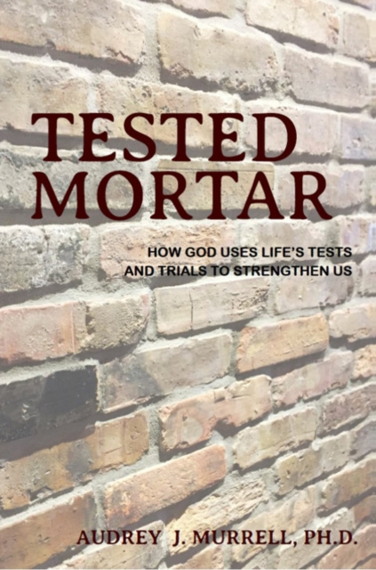 E-knjiga Tested Mortar PH.D. Audrey J. Murrell