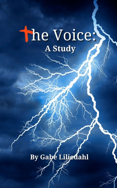 E-knjiga Voice: A Study Gabe Liliedahl