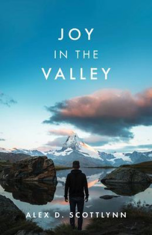 E-knjiga Joy in the Valley Alex D. Scottlynn