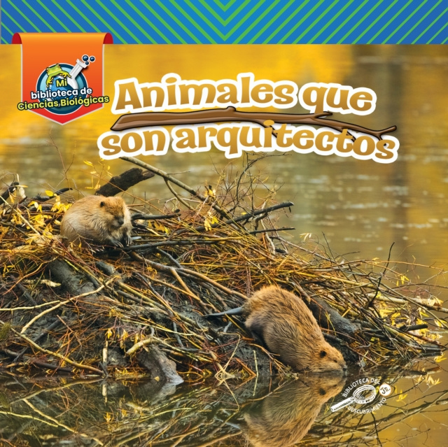 E-book Animales que son arquitectos Lisa Amstutz