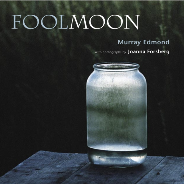 E-knjiga Fool Moon Murray Edmond