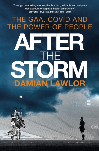 E-knjiga After the Storm Damian Lawlor