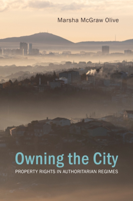 E-Book Owning the City Marsha McGraw Olive