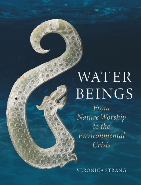 Livre Water Beings Veronica Strang