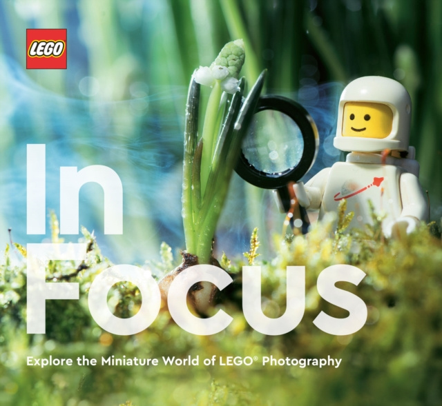 E-kniha LEGO in Focus LEGO