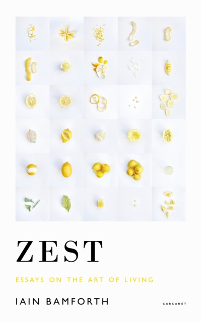 E-knjiga Zest Iain Bamforth
