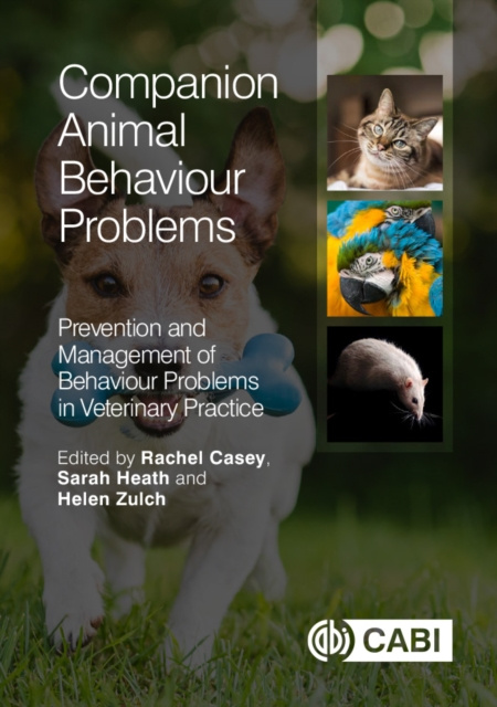 E-book Companion Animal Behaviour Problems Rachel Casey