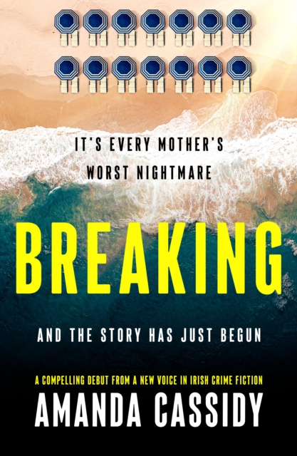 E-Book Breaking Amanda Cassidy