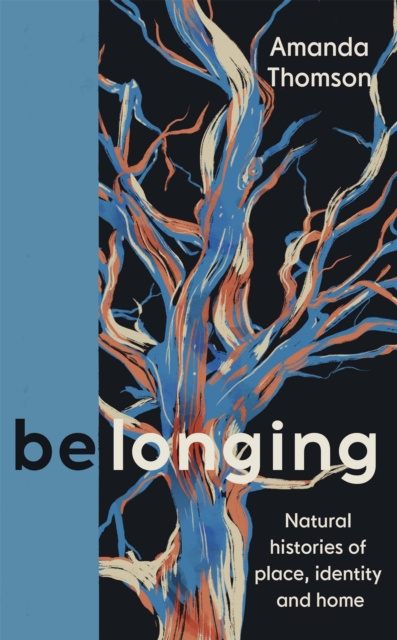 E-book Belonging Amanda Thomson