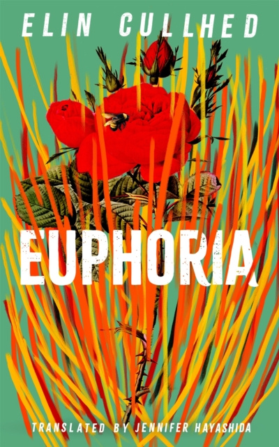 E-book Euphoria Elin Cullhed