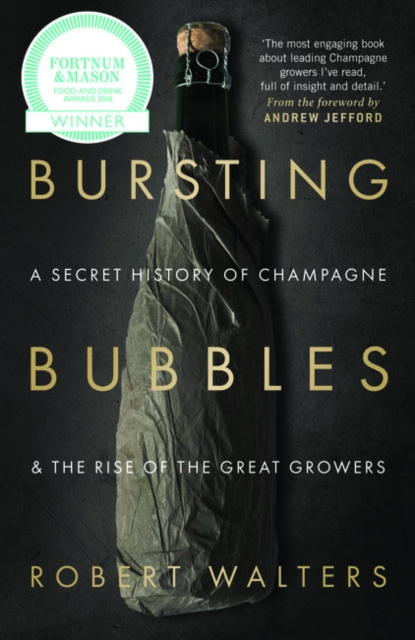 E-book Bursting Bubbles Robert Walters