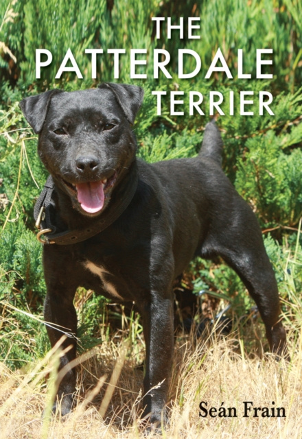 E-book Patterdale Terrier Sean Frain