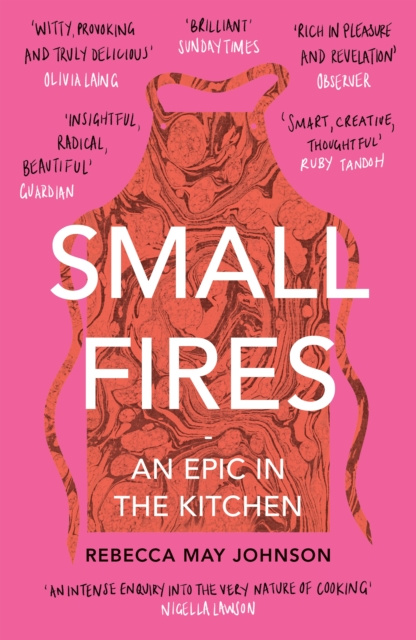 E-knjiga Small Fires Rebecca May Johnson