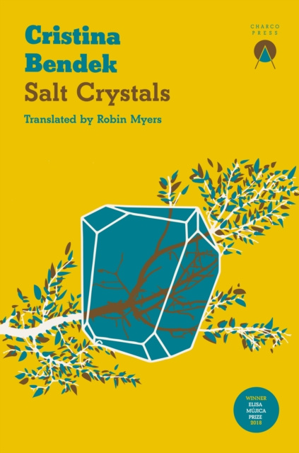 E-knjiga Salt Crystals Cristina Bendek