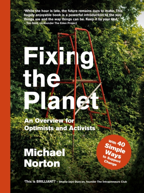 E-kniha Fixing the Planet Michael Norton