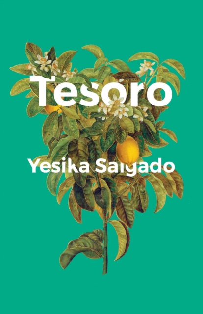 E-book Tesoro Yesika Salgado