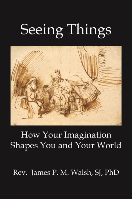 E-book Seeing Things James P.M. Walsh