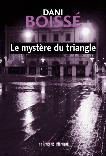 E-kniha Le mystere du triangle Dani Boisse