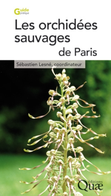 E-book Les orchidees sauvages de Paris Sebastien Lesne