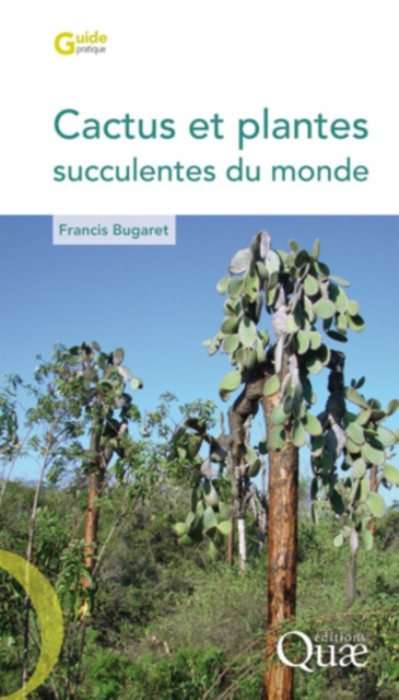 E-book Cactus et plantes succulentes du monde Francis Bugaret