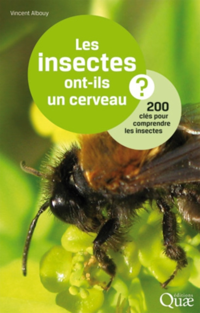 Libro elettronico Les insectes ont-ils un cerveau ? Vincent Albouy