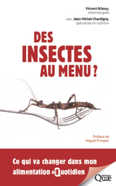 E-kniha Des insectes au menu ? Vincent Albouy