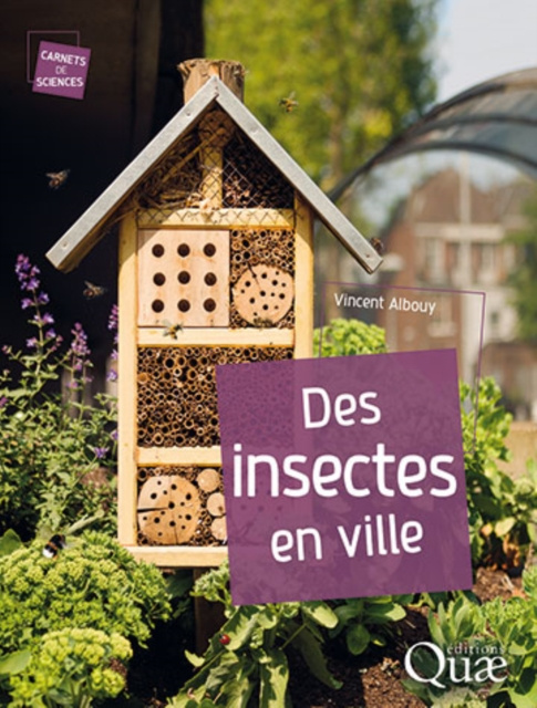 E-kniha Des insectes en ville Vincent Albouy