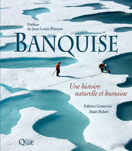 E-Book Banquise Fabrice Genevois
