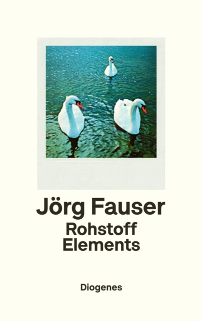 E-knjiga Rohstoff Elements Jorg Fauser