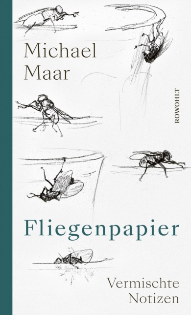 E-book Fliegenpapier Michael Maar