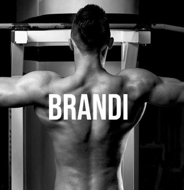 E-knjiga Brandi Brandi