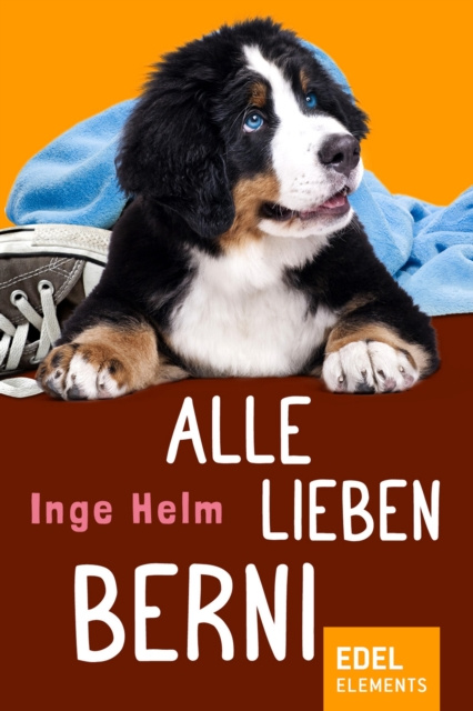 E-book Alle lieben Berni Inge Helm