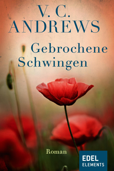 E-Book Gebrochene Schwingen V.C. Andrews
