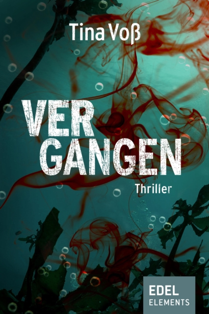 E-book Vergangen Tina Vo