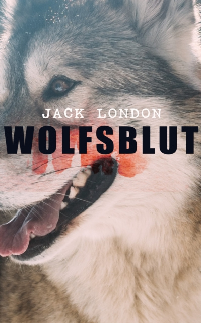 E-Book Wolfsblut Jack London
