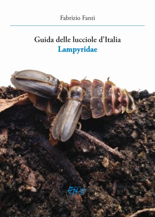 Kniha Guida delle lucciole d'Italia lampyridae Fabrizio Fanti