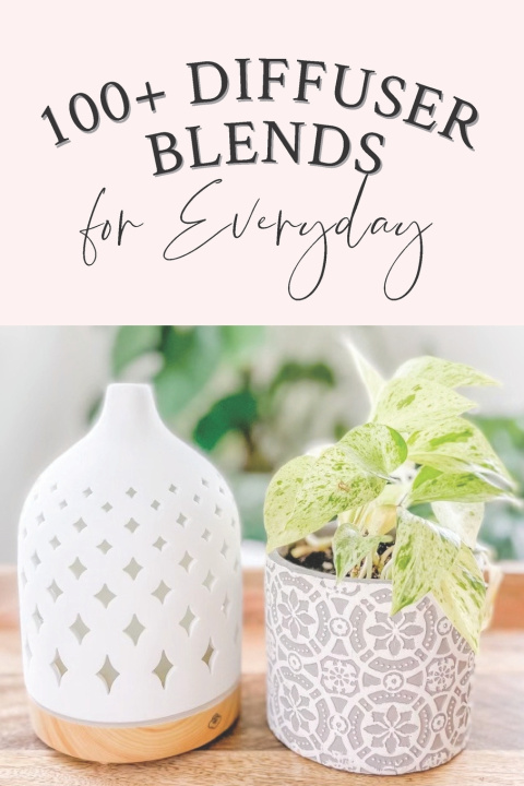 Knjiga 100+ Diffuser Blends for Everyday Reeni Geiser