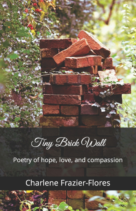 Knjiga Tiny Brick Wall Charlene Frazier-Flores